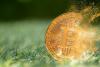 Dragonfly's Qureshi says holding Bitcoin through every downturn is the only strategy that has consistently worked in crypto since 2017.