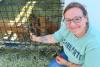 A new team, breed of racing pigs return to the Aldergrove Fair