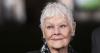 Dame Judi Dench demands Iceland ban as 18 whales killed