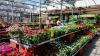 Beloved UK garden centre confirms closure — family business since 1864