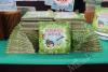New children’s picture book promotes Macau-Hengqin mangrove conservation
