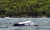 Vietnam Boat Tragedy: Pall of Gloom Over Families in Machilipatnam and...