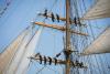 Photos: The Tall Ships are back in Boston