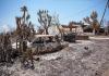 British survivors of Almeria fire criticise claims that victims did not follow advice