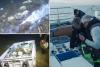 ‘Spectacular’ shipwreck found in Norwegian waters with time capsule of untouched cargo