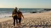 Blue zone secrets: How Sardinia's elders stay sharp and happy in old age