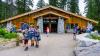 The "Disneyfication" Of Yosemite: Why Modern Tourists Keep Mistaking Dangerous Wilds For Theme Parks