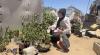 Reviving communities home by home in Gaza