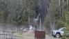Bison at Yellowstone Park attacks tourist, sending him flying at least 8 feet in the air