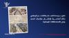 Strengthening national unity key to foiling enemy plots & securing national rights