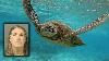 Florida man accused of listing endangered sea turtle shell for $2K on Facebook Marketplace