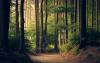 The Blueprint for Building a Fairer World Without Breaking the Planet