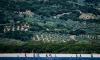World Cup Calabria crowns its champions