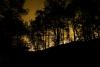 Major fire rages in Fontainebleau forest near Paris