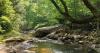 Devil’s Pond Sounds Scary, But It’s One of the Best Hikes in West Virginia