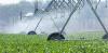 With an El Niño looming, Australia has new laws to stop water market manipulation