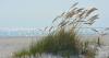Restoration planned for Grand Butture Island in Mississippi Gulf Coast