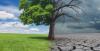  El Niño is underway: A warming Pacific, a shifting storm belt and a region learning to read every cloud as a warning sign 
