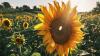 Weather & Traffic: Monday 13 July: yellow alert extended