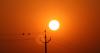 Thousands of Utahns without power amid record heat