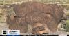 Nevada Backroads: Ancient rock art