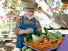 How Italians redefine sustainable food