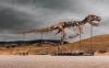 Gus, the world’s most expensive dinosaur, divides scientists