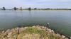 Persistent drought and higher demand: Netherlands heading for water shortages