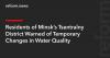 Residents of Minsk’s Tsentralny District Warned of Temporary Changes in Water Quality