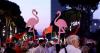 Inside the Flamingo Revolution brewing against Ivanka Trump’s multi-billion dollar development