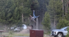 Yellowstone Tourist Thrown Into Air by Charging Bison in Shocking Video