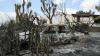 Tourist, 93, dies in hospital after Spanish wildfires as death toll reaches 13
