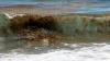 Treasure Coast beach trashed. Let it pile up. DeSantis tax folly.Letter writers 