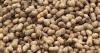 Lower peanut production could boost prices this year