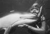 A marine protected area can ban fishing boats. It cannot stop drifting gear
