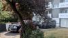Wimbledon locals left furious after the King of Denmark parked on their driveway