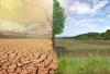 Scientists investigate drought risks and desertification in Azerbaijan