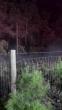South Carolina Crews Cross State Line to Help Out on NC Wildfire