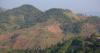 From Poppies to Tea Gardens: How Taiwan’s Tea Took Root on Thailand’s Northern Borderland