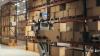 Why the Logistics Robots Market Is Racing Toward $91 Billion by 2035