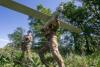 Ukraine allies push stronger air defence as drone support grows