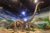 One Bone Rewrites Jurassic Giant's Range as Thailand Names Its 15th Dinosaur