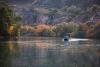 New report finds health of Snake River has improved, recommends further intervention