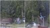 Terrifying moment bison chases tourist, tosses him 8ft into the air at US park