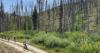 Pete Zimowsky’s Outdoors Spotlight: Fine time to visit the Boise Mountains