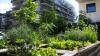 Brussels calls for ideas for making the city cooler