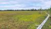 Strong Support for Mining in Finnish Sodankylä – Environmental Concerns Persist