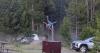 Video: Massive Bison Attacks Tourist at Yellowstone National Park