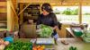 Your guide to LI farm stands: Where to find local produce, eggs and more