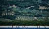 Wingfoil Racing World Cup Calabria overall